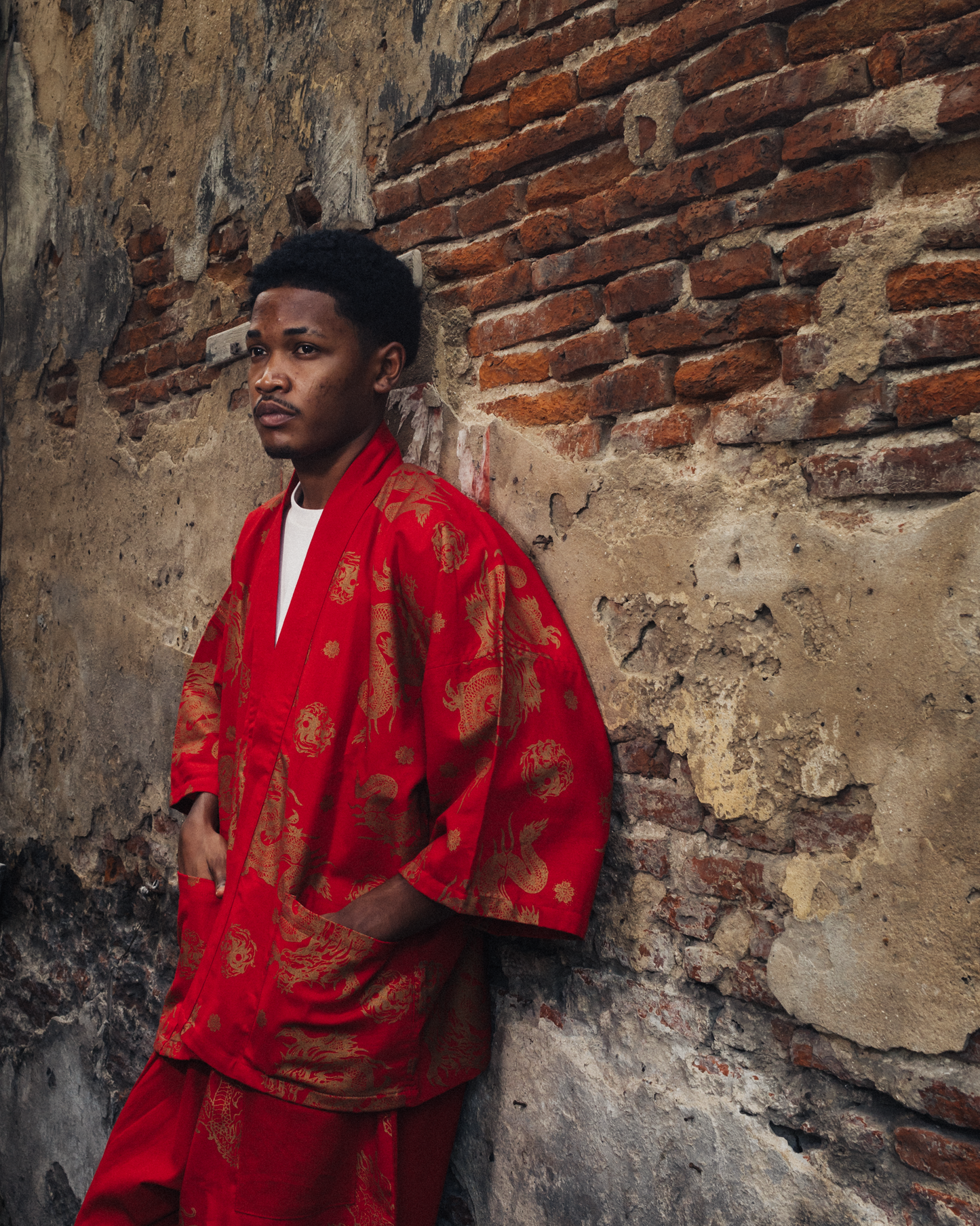 Dragon in Red Kimono